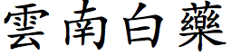 Ynnn Biyo.png